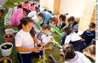 Escolas poderão ter todos os anos uma Semana de Educação Ambiental