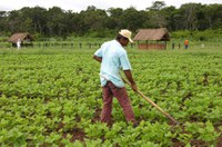 Investimentos em política agrícola exigirão planejamento prévio mínimo de dois anos