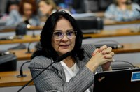 CDH aprova sugestão do Jovem Senador para valorização da cultura brasileira