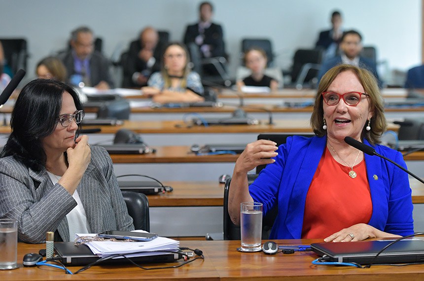 Bancada:
senadora Damares Alves (Republicanos-DF); 
relatora ad hoc do PL 3.126/2021, senadora Zenaide Maia (PSD-RN) - em pronunciamento.